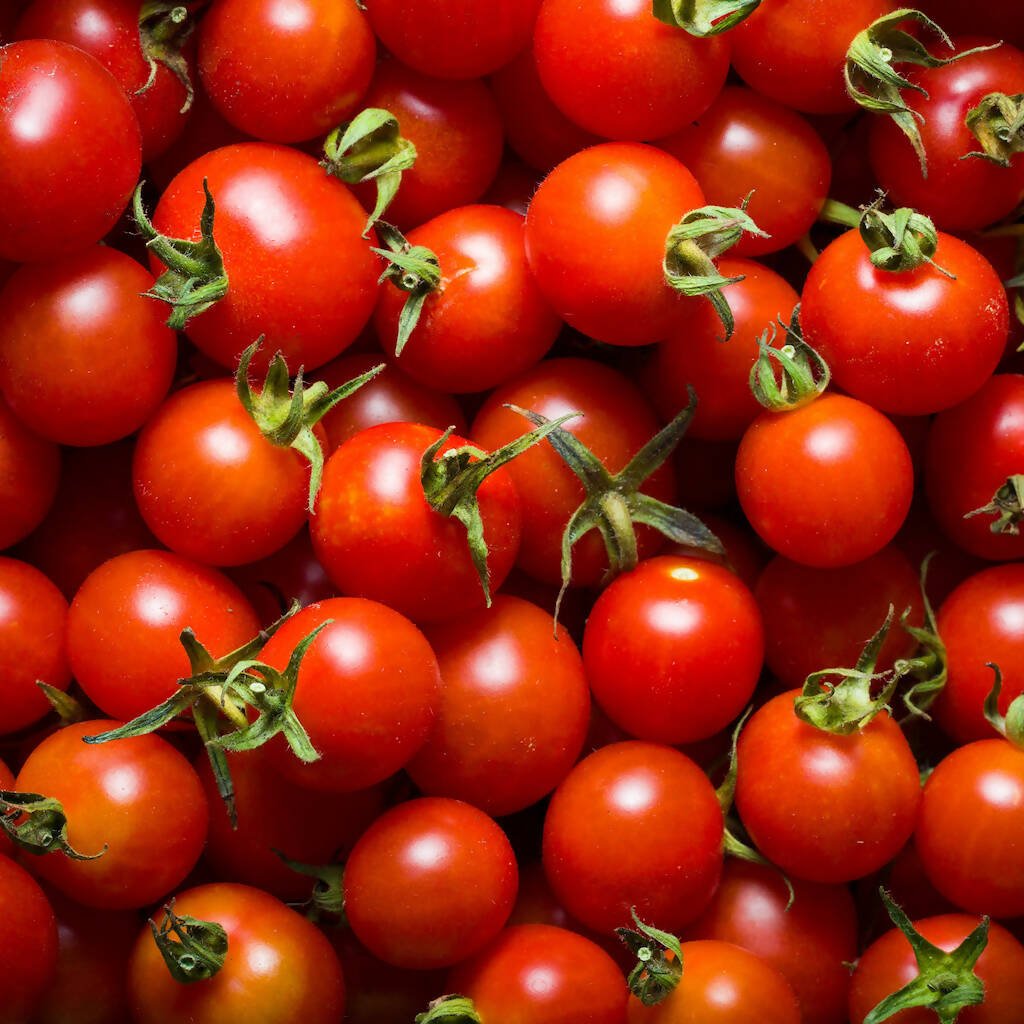 Alberta Grown Cherry Tomatoes - 1 Pint - Oonnie - Sunfresh Farms