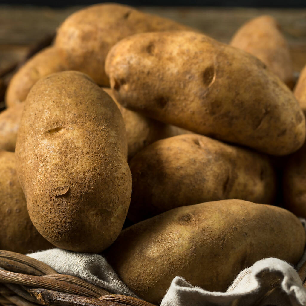 Alberta Grown Russet Potatoes - Oonnie - Sunfresh Farms
