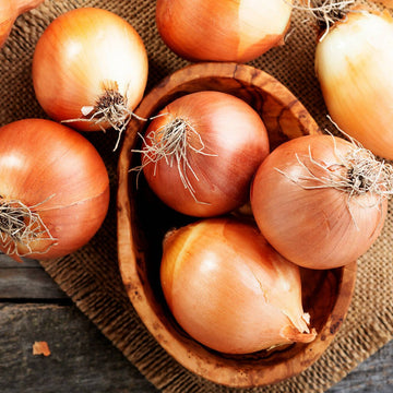 Alberta Grown Sweet Onion - avg/ea - Oonnie - Sunfresh Farms