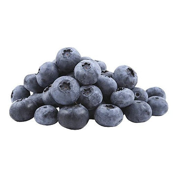 BC Blueberries - 1LB - Oonnie - Steve & Dan's