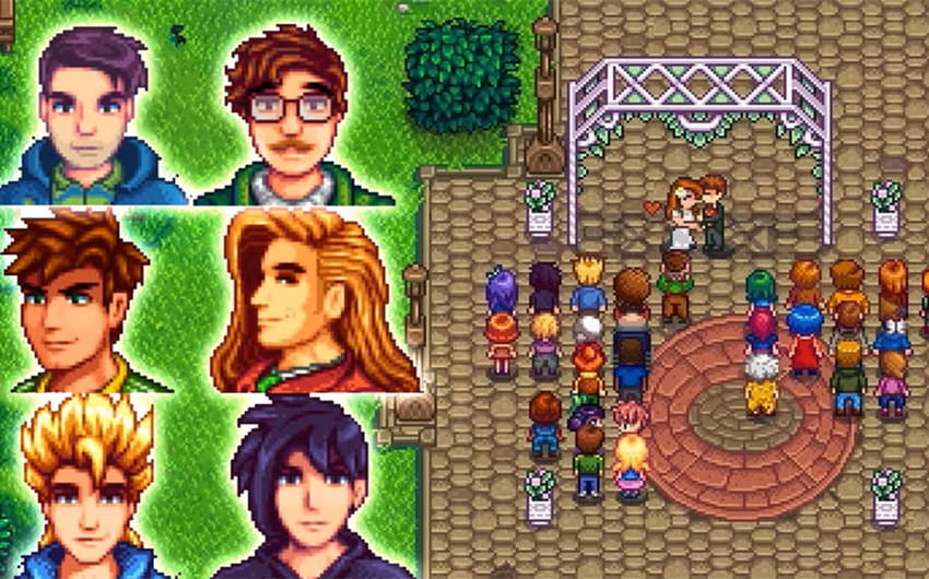 stardew valley husband